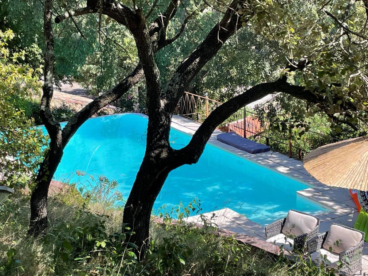 ニーム Jolie Annexe Du Mas Dans Le Coeur De La Garrigue Nimoiseヴィラ エクステリア 写真